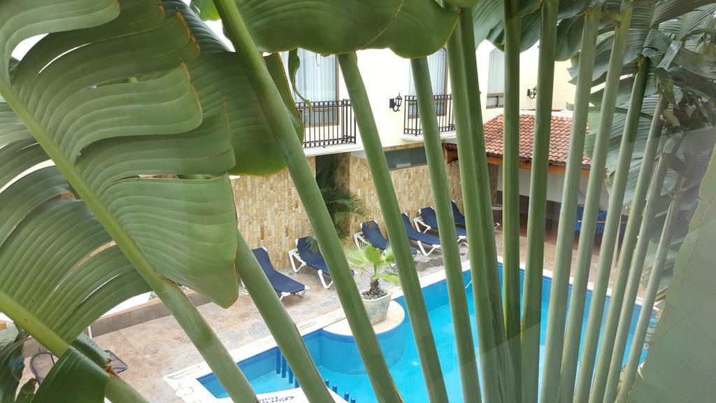 Hotel Dubrovnik Merida Phòng bức ảnh